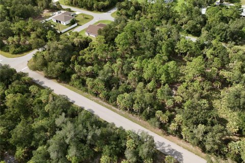 Land in Port Charlotte, Florida № 2396235 - photo 20