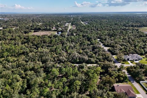 Land in Port Charlotte, Florida № 2396235 - photo 3