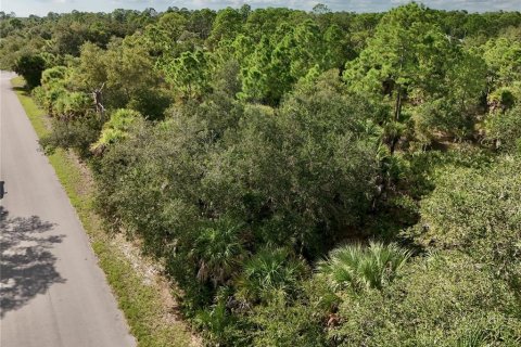 Land in Port Charlotte, Florida № 2396235 - photo 23