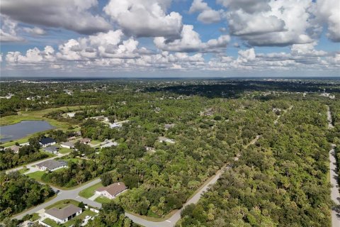Land in Port Charlotte, Florida № 2396235 - photo 25
