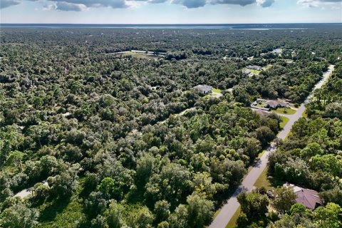 Land in Port Charlotte, Florida № 2396235 - photo 28