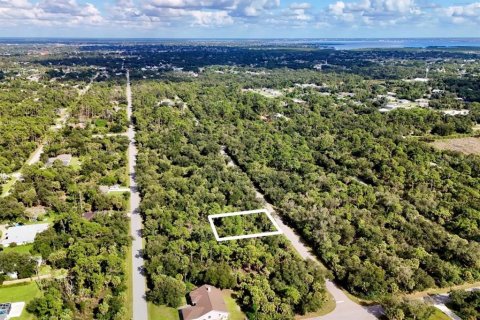 Land in Port Charlotte, Florida № 2396235 - photo 2