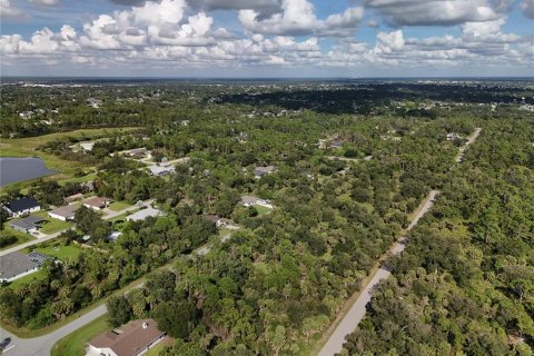 Land in Port Charlotte, Florida № 2396235 - photo 24