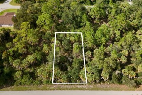 Land in Port Charlotte, Florida № 2396235