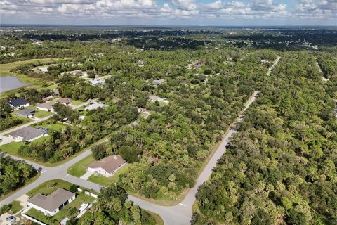 Land in Port Charlotte, Florida № 2396235 - photo 13