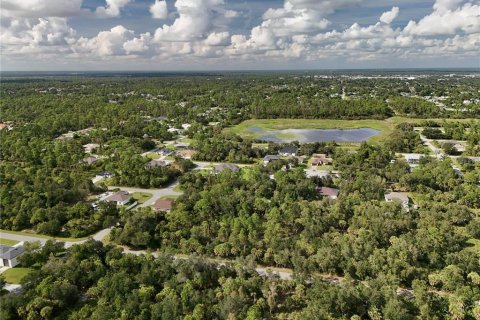Land in Port Charlotte, Florida № 2396235 - photo 8