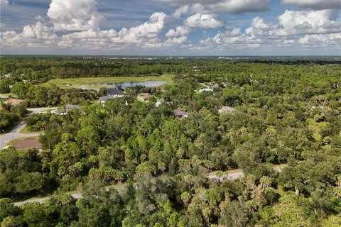 Land in Port Charlotte, Florida № 2396235 - photo 17