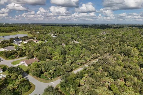 Land in Port Charlotte, Florida № 2396235 - photo 16