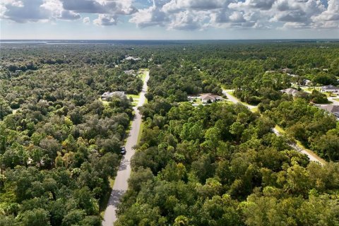 Land in Port Charlotte, Florida № 2396235 - photo 5