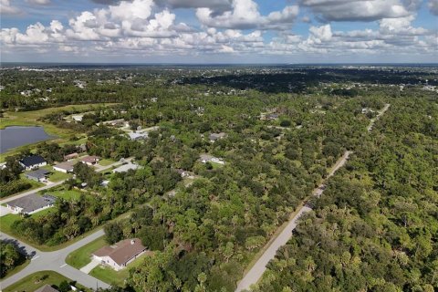 Land in Port Charlotte, Florida № 2396235 - photo 7