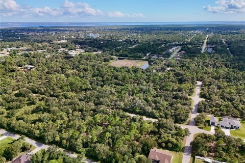 Land in Port Charlotte, Florida № 2396235 - photo 11