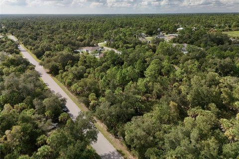 Land in Port Charlotte, Florida № 2396235 - photo 6