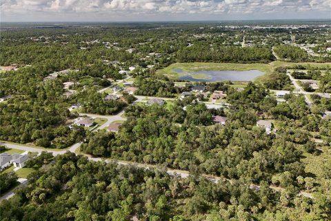 Land in Port Charlotte, Florida № 2396235 - photo 30