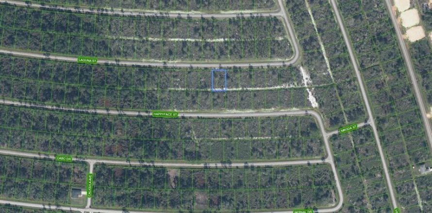 Terrain à Sebring, Floride № 2259065