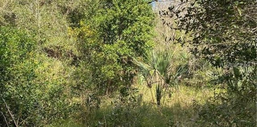 Terrain à DeLand, Floride № 1522214