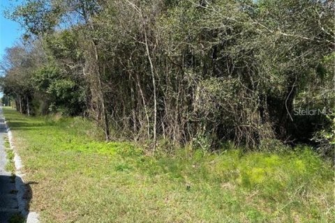 Terrain à vendre à DeLand, Floride № 1522214 - photo 5