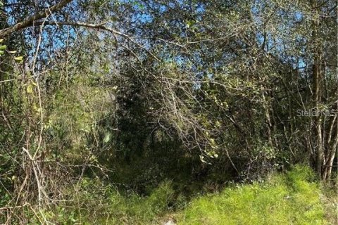Terrain à vendre à DeLand, Floride № 1522214 - photo 3