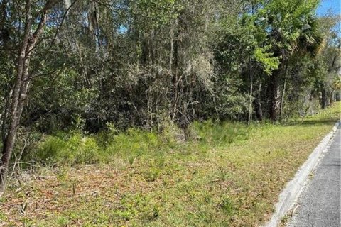 Terrain à vendre à DeLand, Floride № 1522214 - photo 4