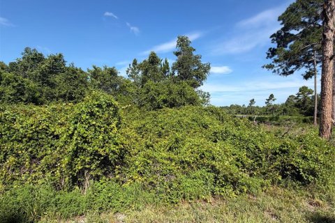 Land in Ocklawaha, Florida № 2203707 - photo 9