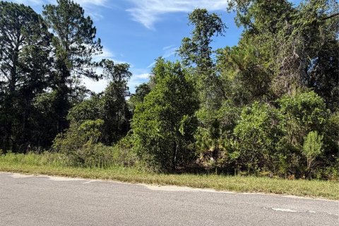 Land in Ocklawaha, Florida № 2203707 - photo 6