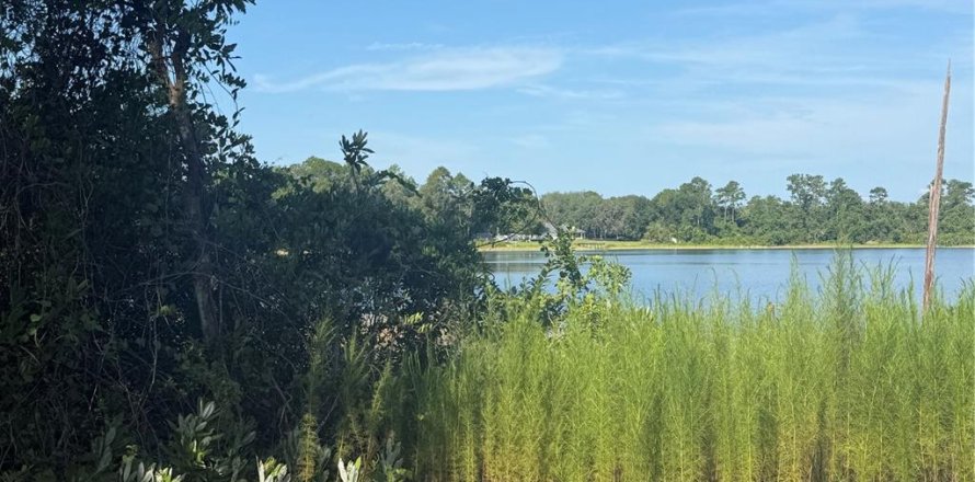Land in Ocklawaha, Florida № 2203707