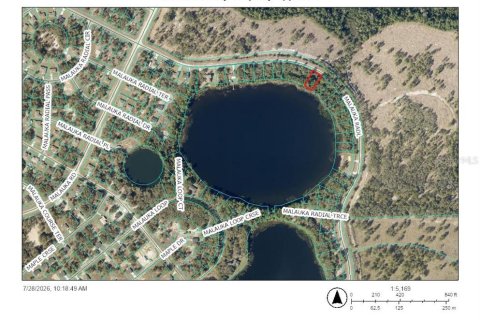 Land in Ocklawaha, Florida № 2203707 - photo 10