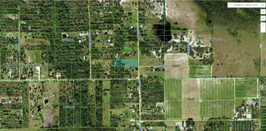 Terrain à Frostproof, Floride № 2169634