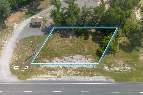 Terreno en venta en DeLand, Florida № 2229504 - foto 2