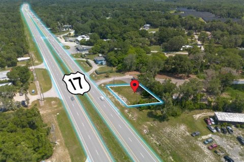 Land in DeLand, Florida № 2229504