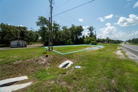 Terreno en venta en DeLand, Florida № 2229504 - foto 13