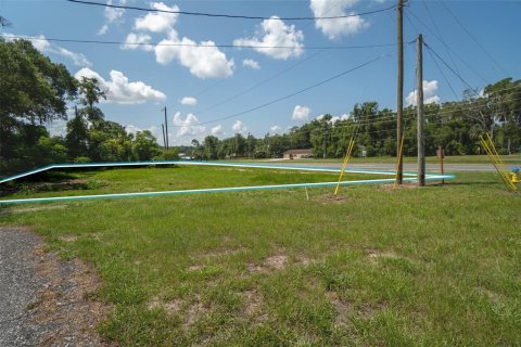 Terreno en venta en DeLand, Florida № 2229504 - foto 7