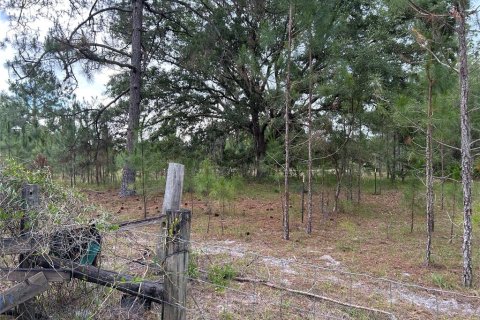 Terreno en venta en Morriston, Florida № 2211114 - foto 12