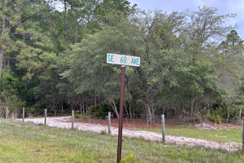 Terreno en venta en Morriston, Florida № 2211114 - foto 2