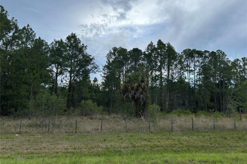 Terreno en Morriston, Florida № 2211114