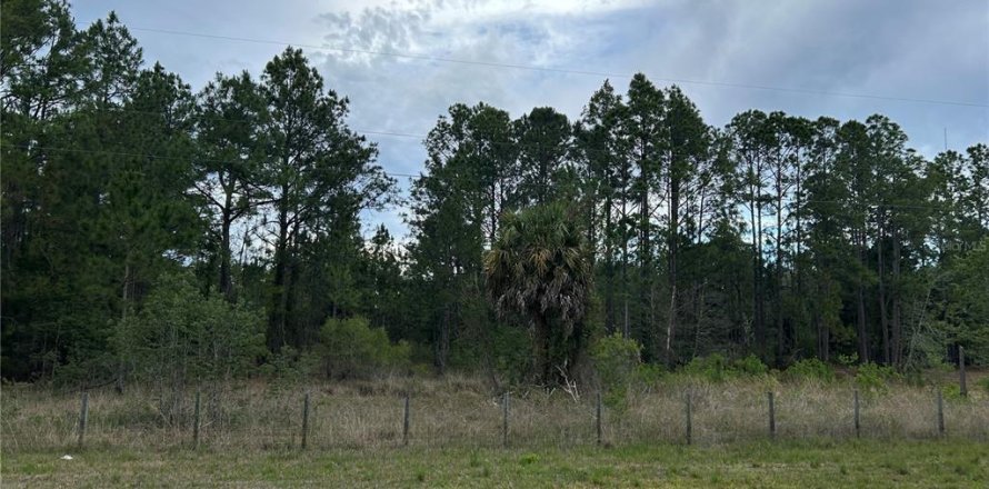 Terreno en Morriston, Florida № 2211114