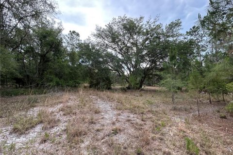 Terreno en venta en Morriston, Florida № 2211114 - foto 8