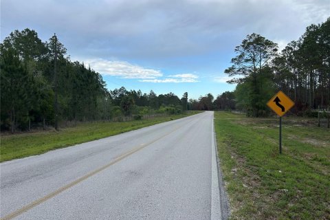 Terreno en venta en Morriston, Florida № 2211114 - foto 3