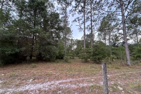 Terreno en venta en Morriston, Florida № 2211114 - foto 11