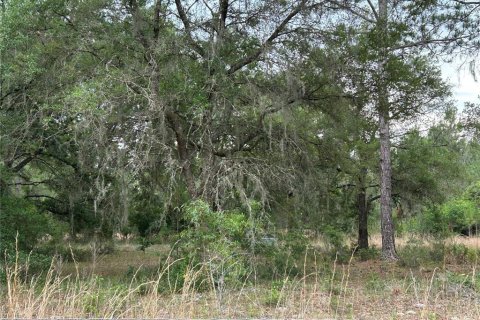 Terreno en venta en Morriston, Florida № 2211114 - foto 9