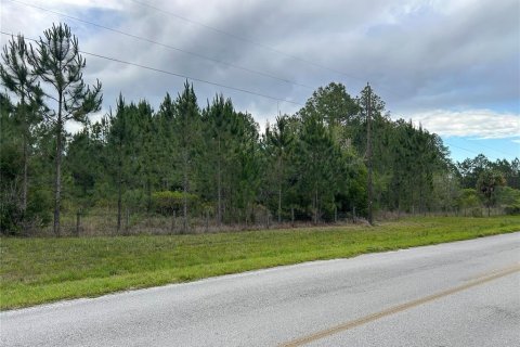 Terreno en venta en Morriston, Florida № 2211114 - foto 4