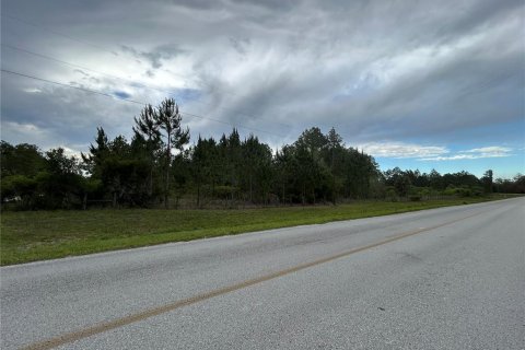 Terreno en venta en Morriston, Florida № 2211114 - foto 5