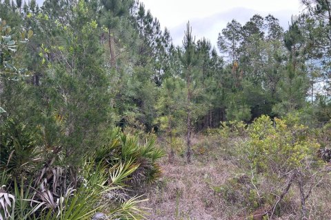 Terreno en venta en Morriston, Florida № 2211114 - foto 7