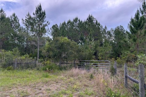 Terreno en venta en Morriston, Florida № 2211114 - foto 6