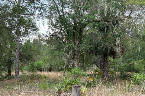 Terreno en venta en Morriston, Florida № 2211114 - foto 10