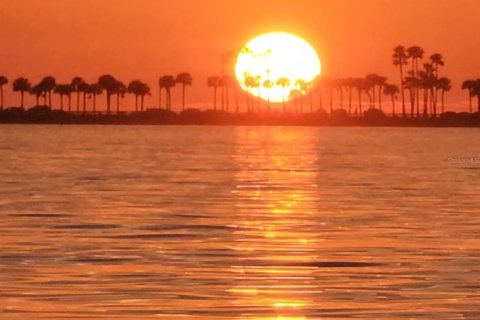 Condo in Dunedin, Florida, 2 bedrooms  № 2136602 - photo 28