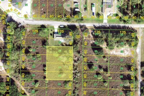 Land in Punta Gorda, Florida № 2118424