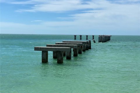 Land in Punta Gorda, Florida № 2118424 - photo 4