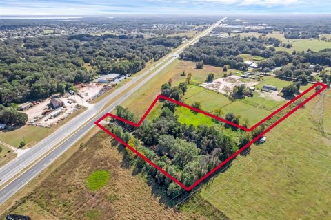 Land in Summerfield, Florida № 1311502 - photo 2