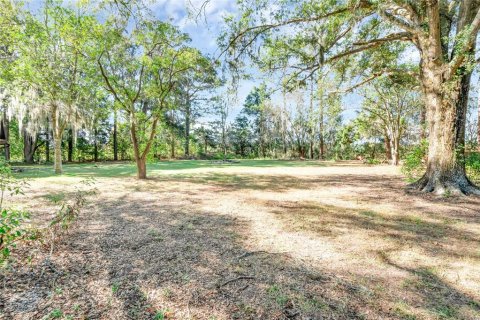 Land in Summerfield, Florida № 1311502 - photo 5