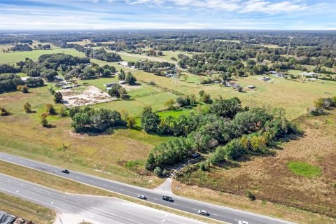 Land in Summerfield, Florida № 1311502 - photo 6